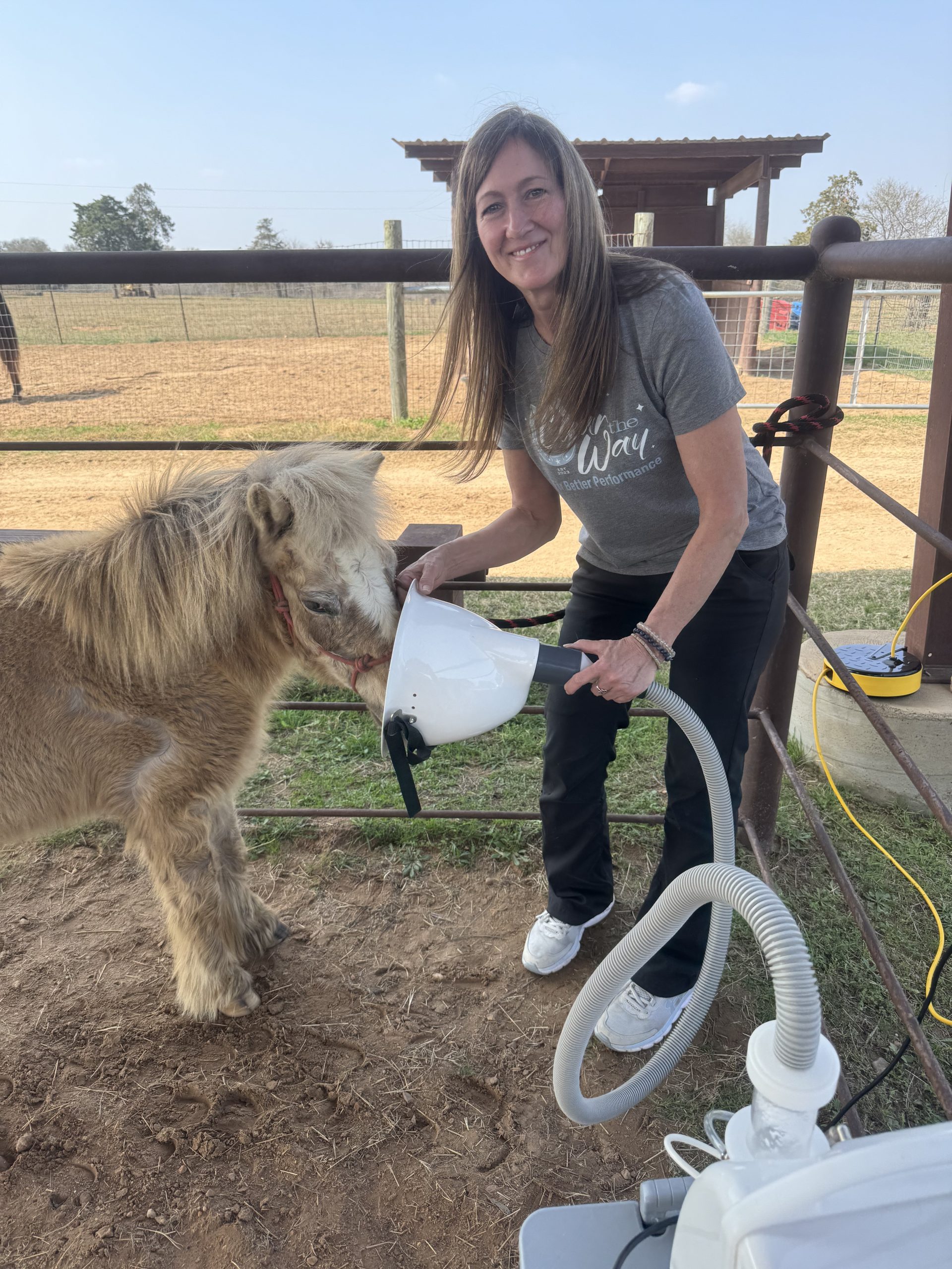Equi-Vive dry salt therapy session with a pony