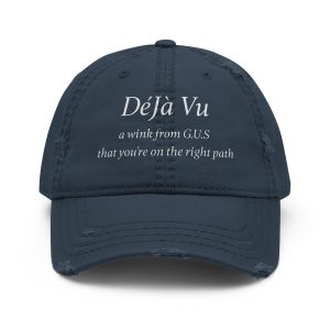 amor fati ranch déjà vu distressed dad hat